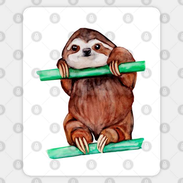 Watercolor - Baby sloth Sticker by Karoのkyuuto